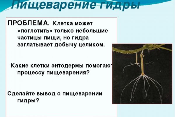 Кракен марке