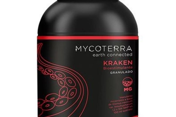 Kraken зеркало krakens13 at